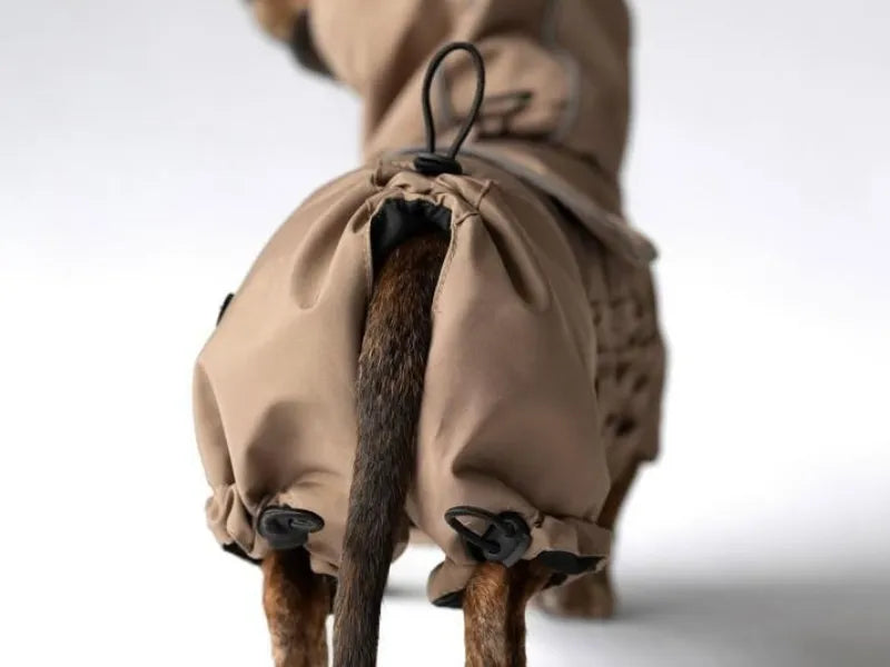 NEW: Beige Dachshund Raincoat