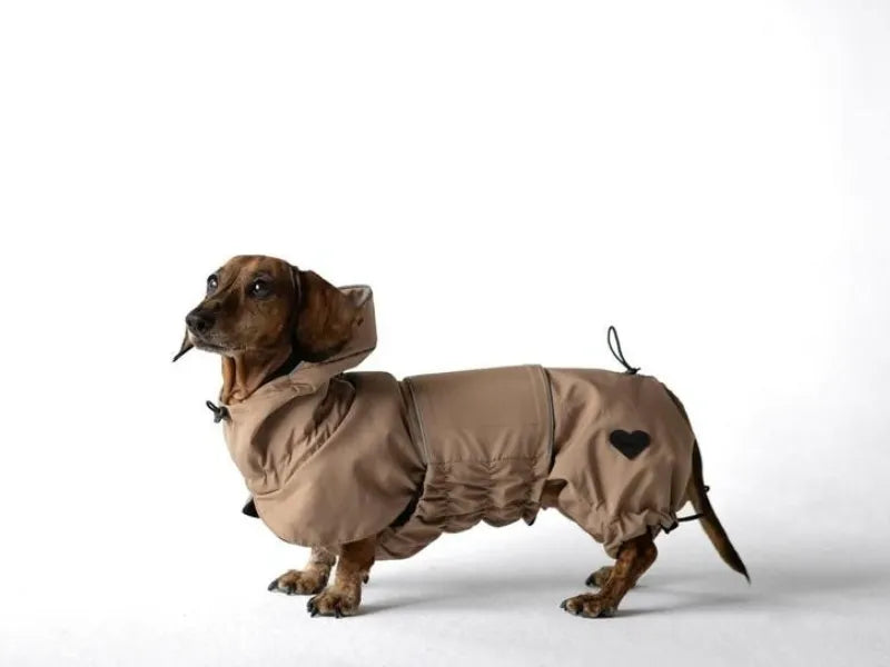 NEW: Beige Dachshund Raincoat