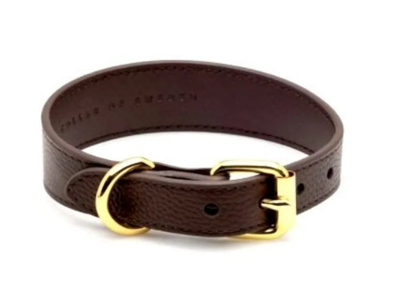 Brown leather dog collar with gold features for dachshunds - front view.