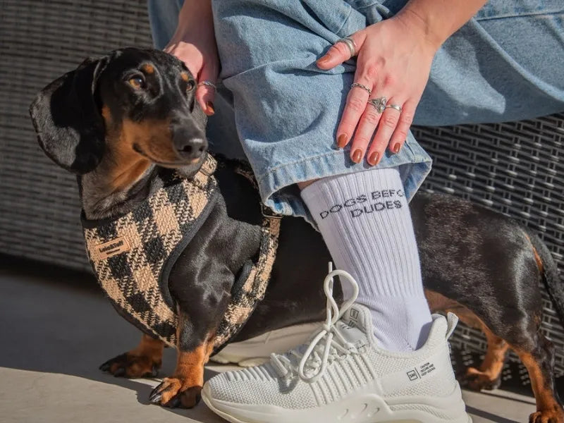 ‘Dogs Before Dudes’ Embroidered White Socks