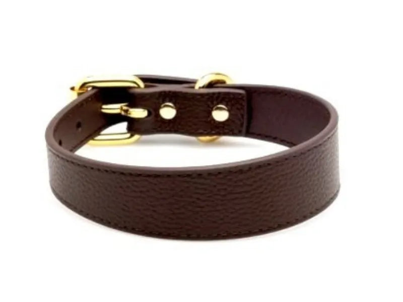 Ergonomic dachshund collar in coffee brown leather - back view.