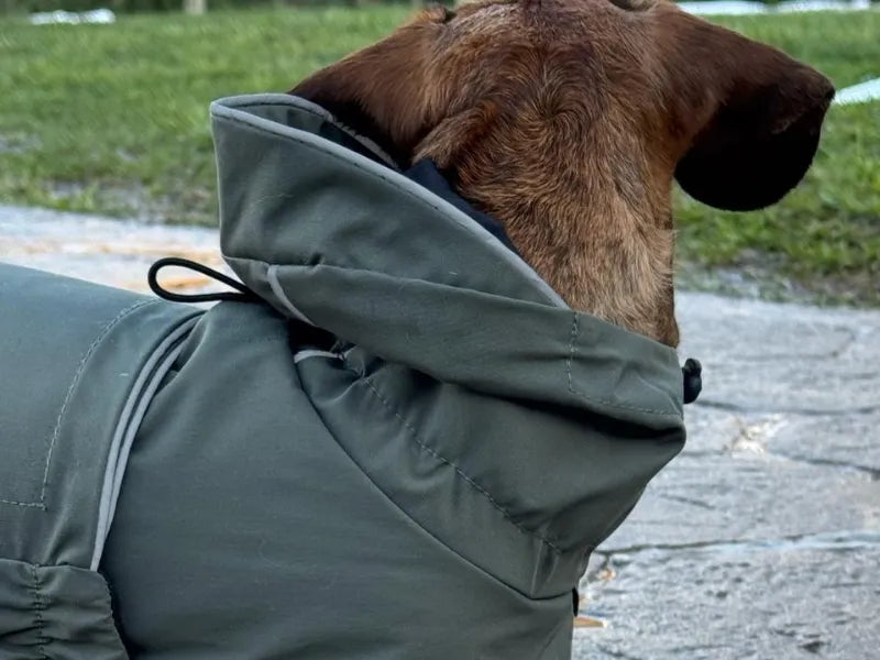 NEW: Khaki Green Raincoat