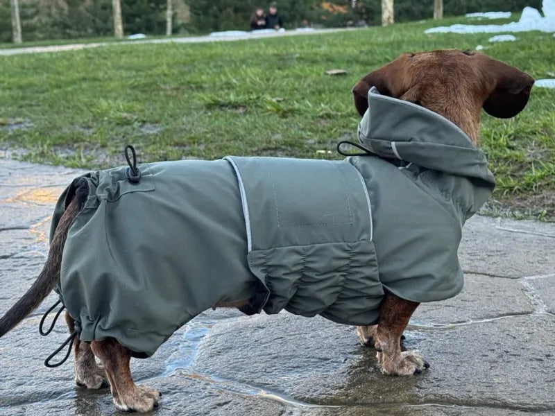 NEW: Khaki Green Raincoat