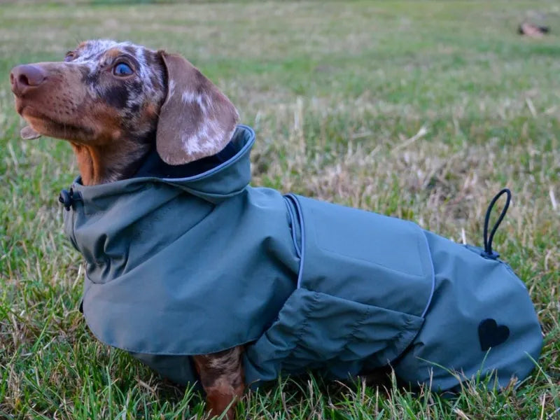 NEW: Khaki Green Raincoat