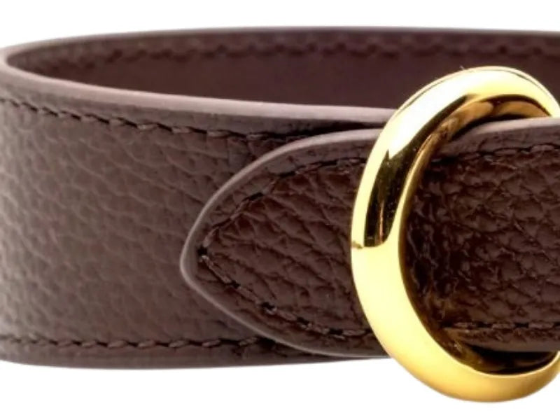 Wide fit dog collar with gold hardware for small dogs.
