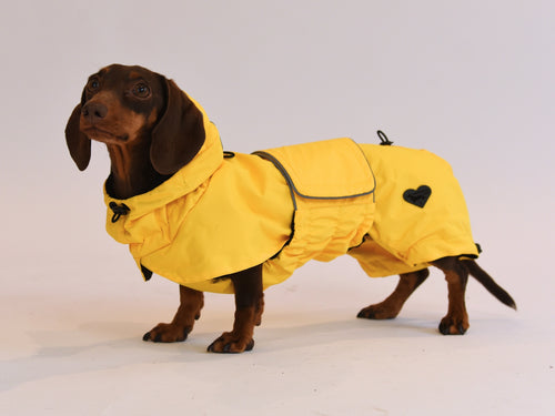 Sausage wearing the Dachshund Yellow Raincoat side view.