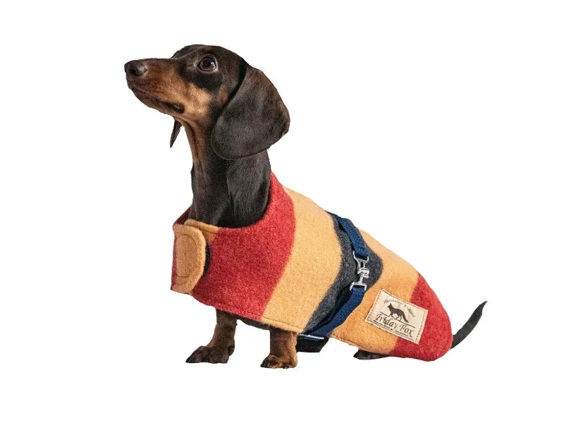 Yellow Witney wool dachshund jacket - velcro strap view.