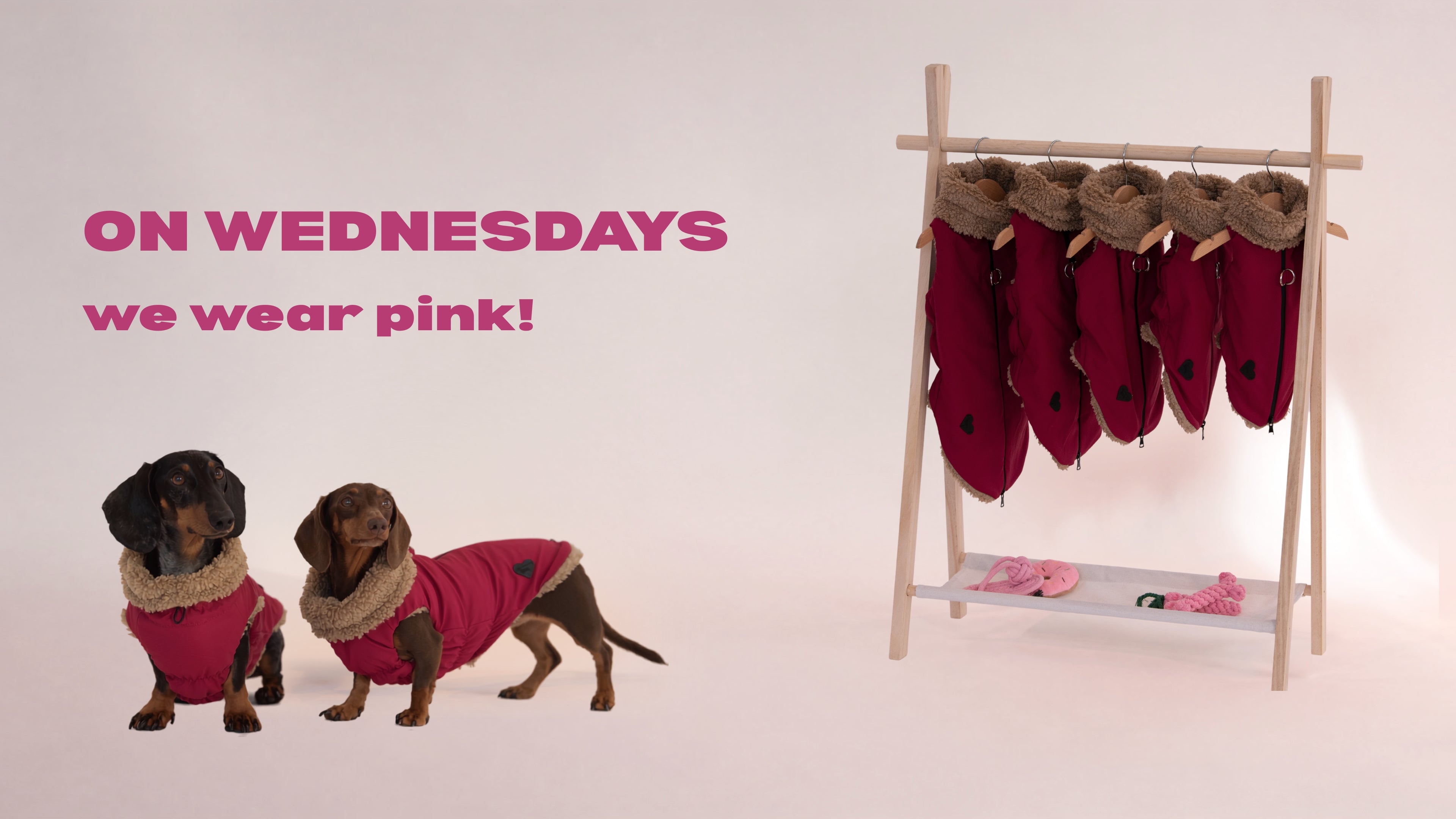 Two dachshunds wearing pink dog sweaters stand next to a wooden clothing rack holding more pink dog sweaters, with the text 'ON WEDNESDAYS we wear pink!' on a light pink background.