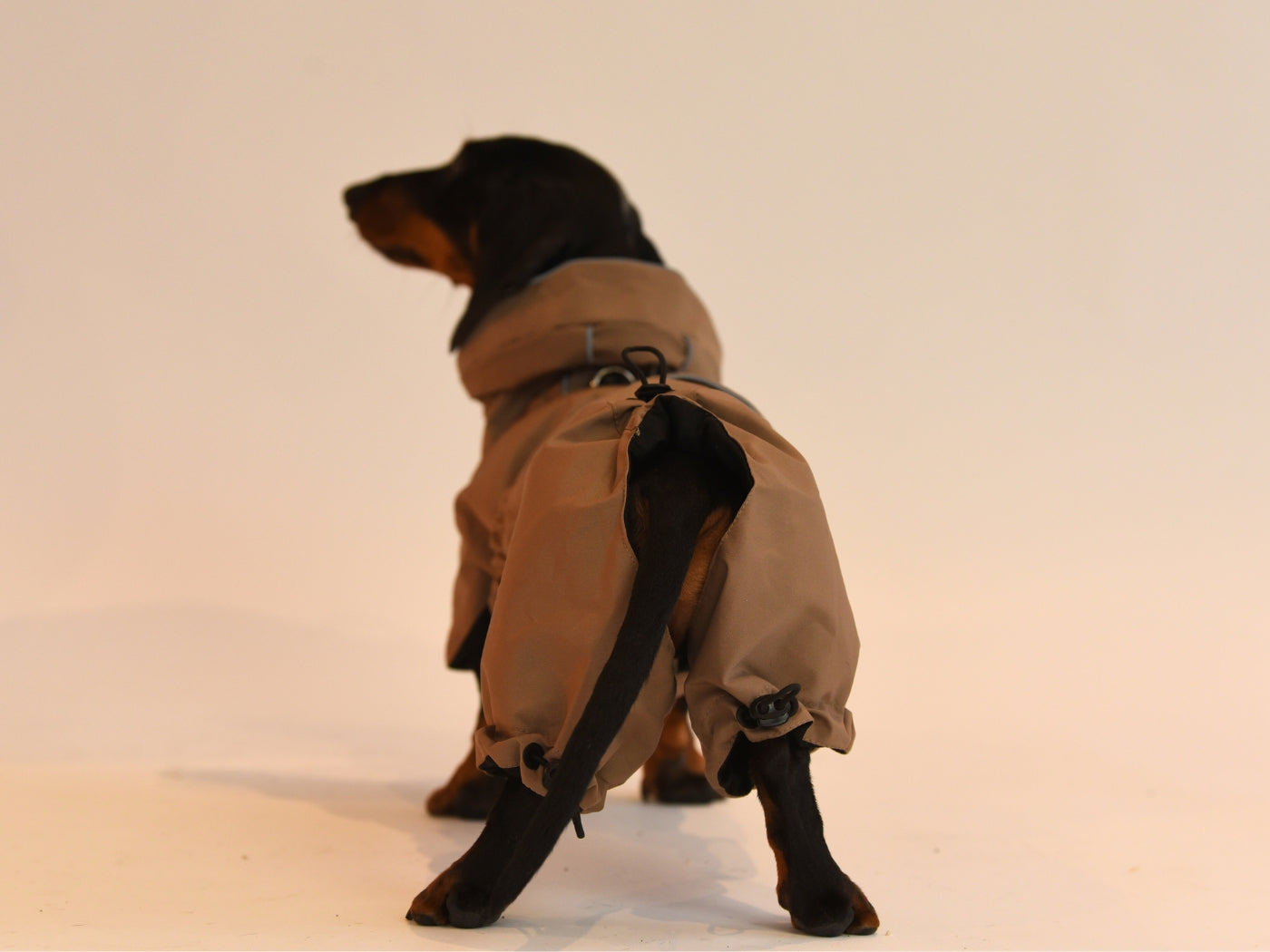 Back view of the Beige Waterproof Raincoat.