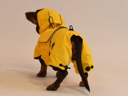 Back view of the Yellow Dachshund Raincoat.
