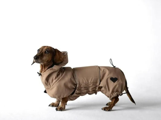 NEW: Beige Dachshund Raincoat