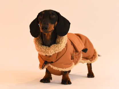 Beige Wraparound Dachshund Coat front view.