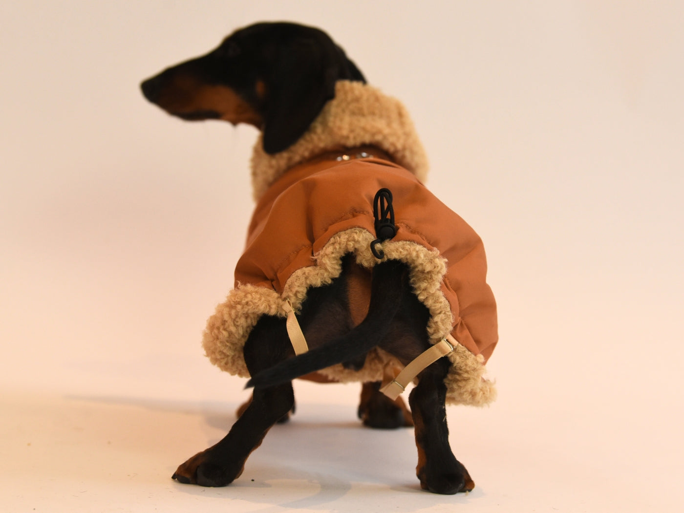 Beige Wraparound Waterproof Coat Back view.