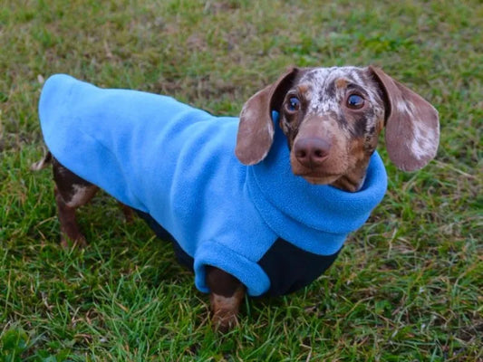 Pre-Order Now: Blue Fleece Waterproof Belly Turtle Neck Jumper