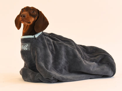 Dachshund in the Henry Wag Drying Bag.