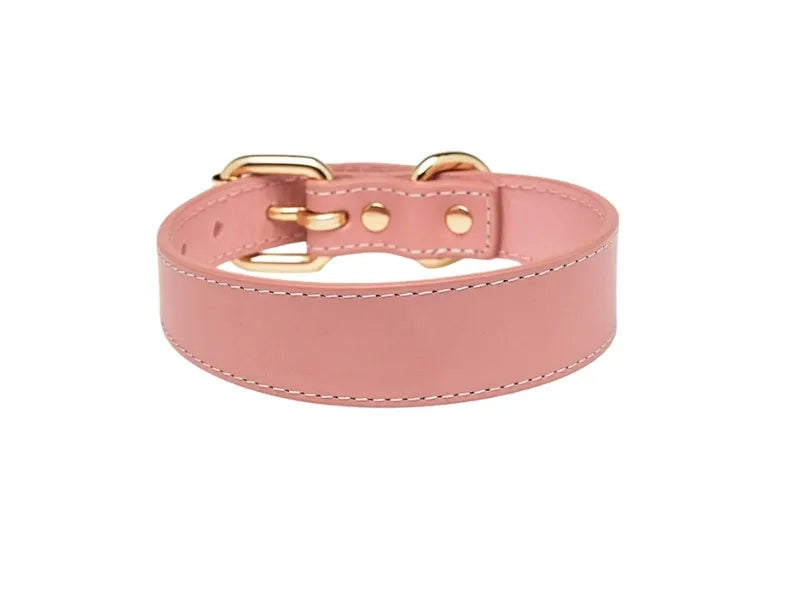 Dusty pink dog collar for small dogs UK - back view.