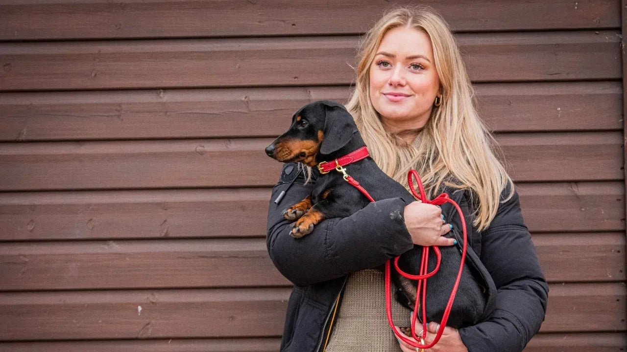 Emily, the founder of The Sausage Dog Shop holding Mr Pea wearing the red collar and lead set.