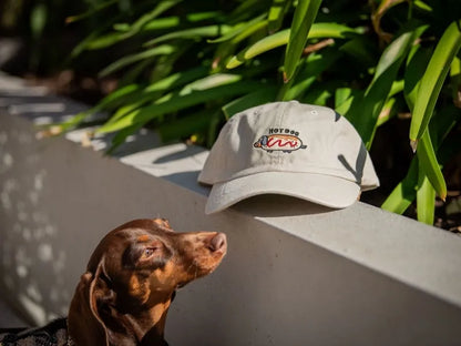 ‘Hot Dog' beige cap for dachshund lovers.