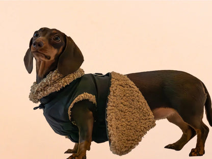 Inside Borg Fleece of Black Teddy Bear Coat.