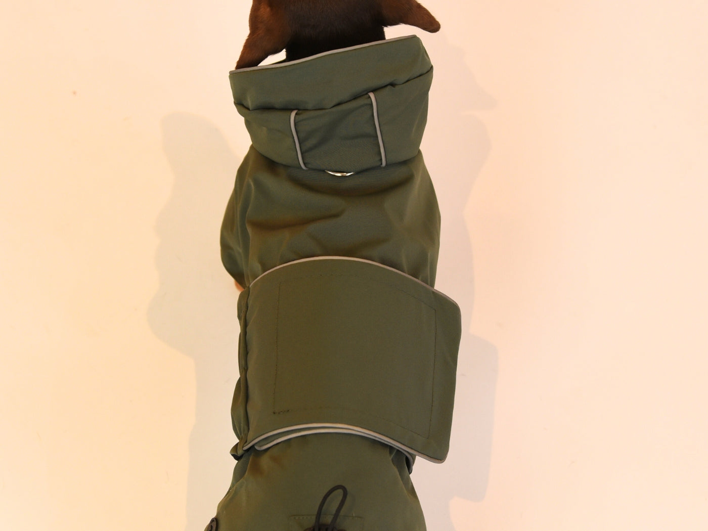Khaki Waterproof Raincoat for Dachshunds Top View.