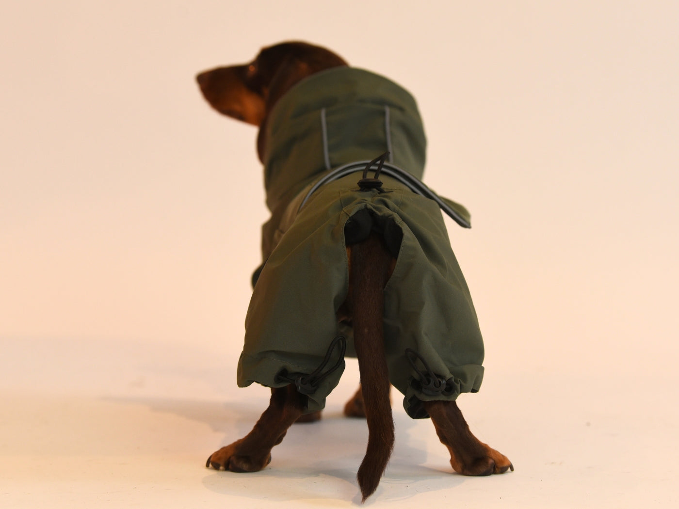Khaki Waterproof Sausage Dog Raincoat Back View.