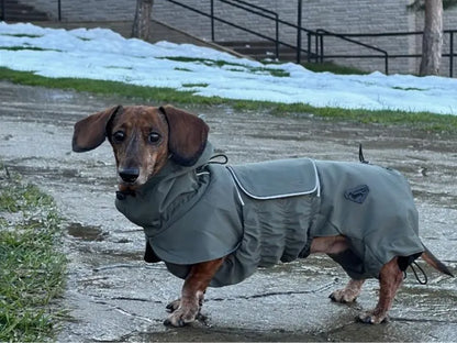 NEW: Khaki Green Raincoat
