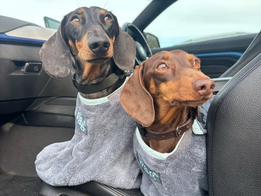 Muddy paw drying bag - post-walk solution for sausage dogs.