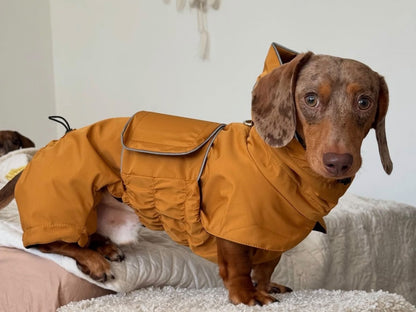 Mustard Dachshund Raincoat