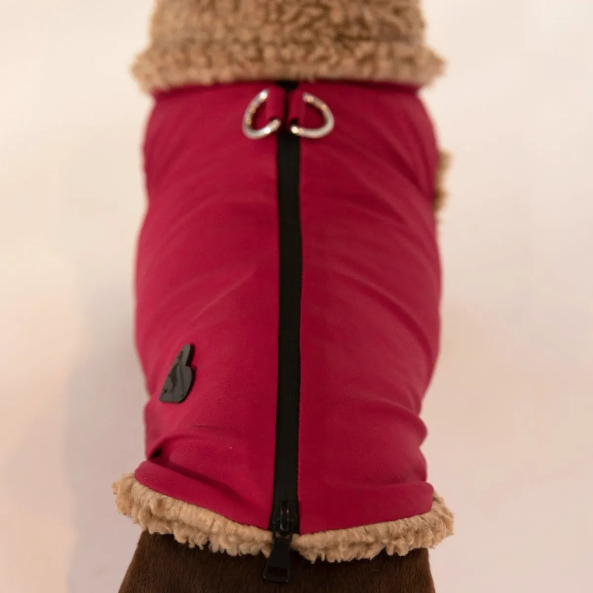 An above close-up of a sausage dog wearing a pink winter coat featuring a black waterproof zipper along the back of the coat and silver metal D-rings for lead attachment.