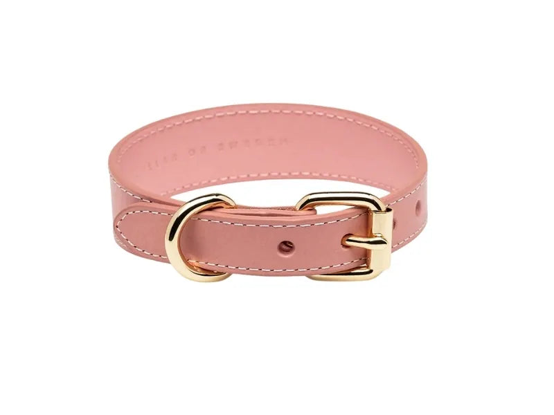 Pink dachshund collar with ergonomic wide fit design.