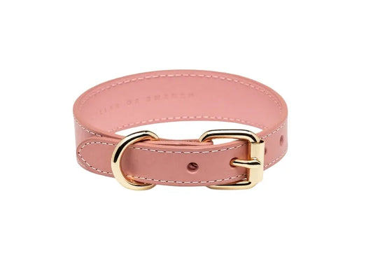 Pink dachshund collar with ergonomic wide fit design.
