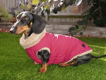 Pink Teddy Bear Coat