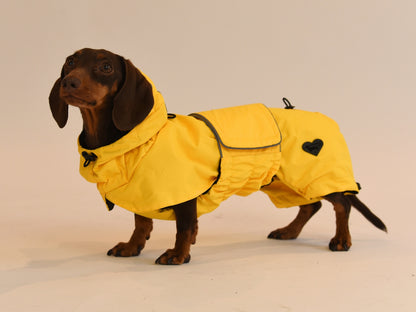 Sausage wearing the Dachshund Yellow Raincoat side view.