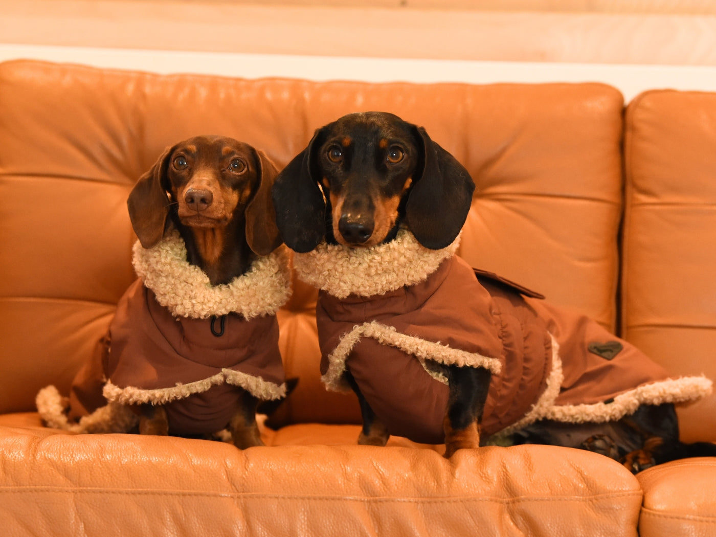 Sausage and Rich in their matching Brown Wraparound Coats.