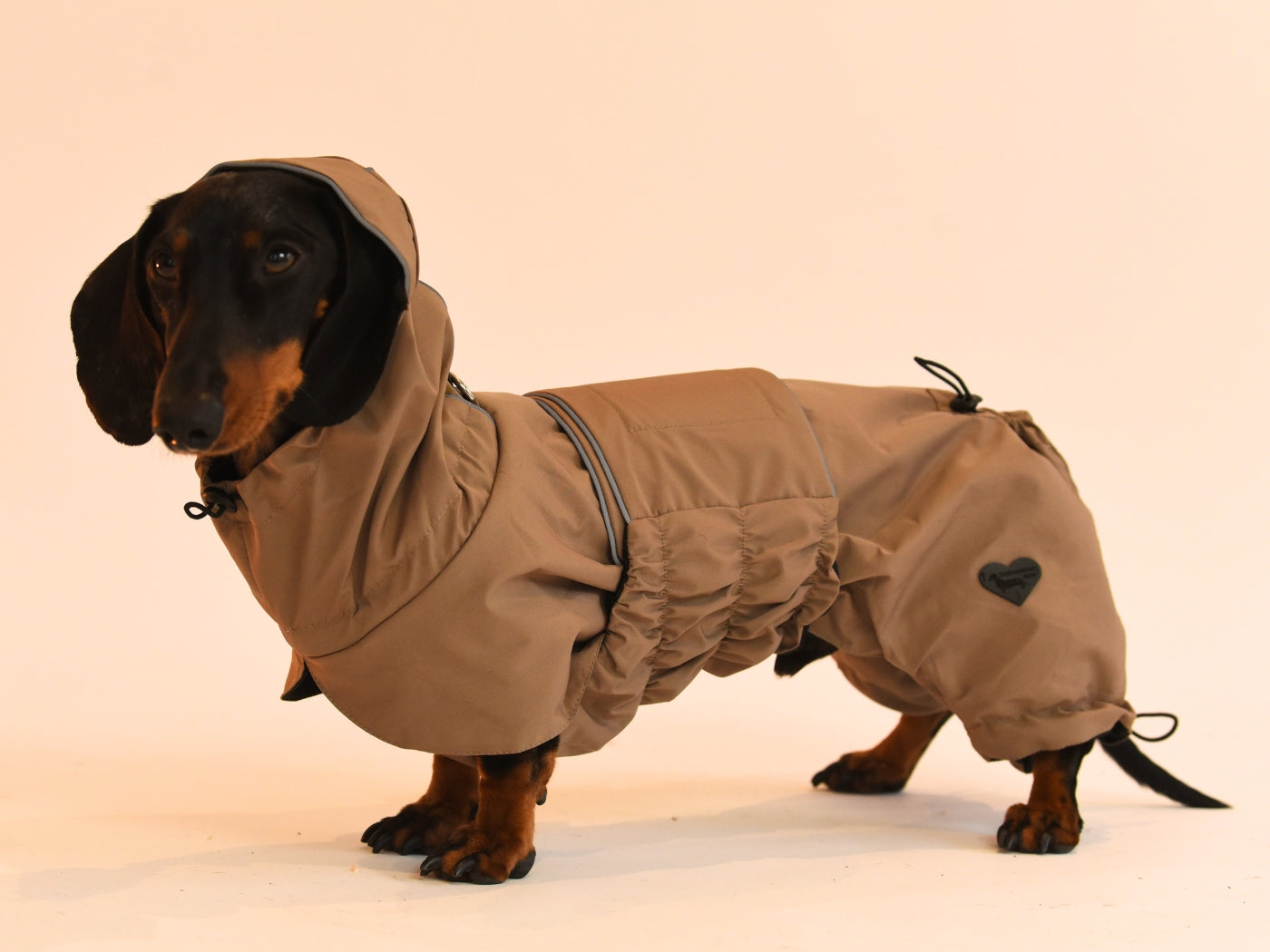Side View of the Beige Dachshund Raincoat.