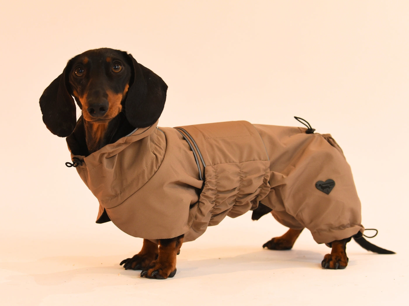 Side View of the Beige Waterproof Dachshund Raincoat.