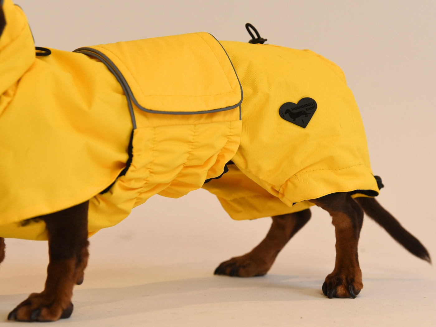 Side view close up of the Yellow Dachshund Raincoat.