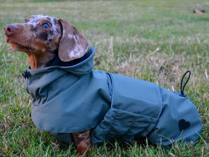 NEW: Khaki Green Raincoat