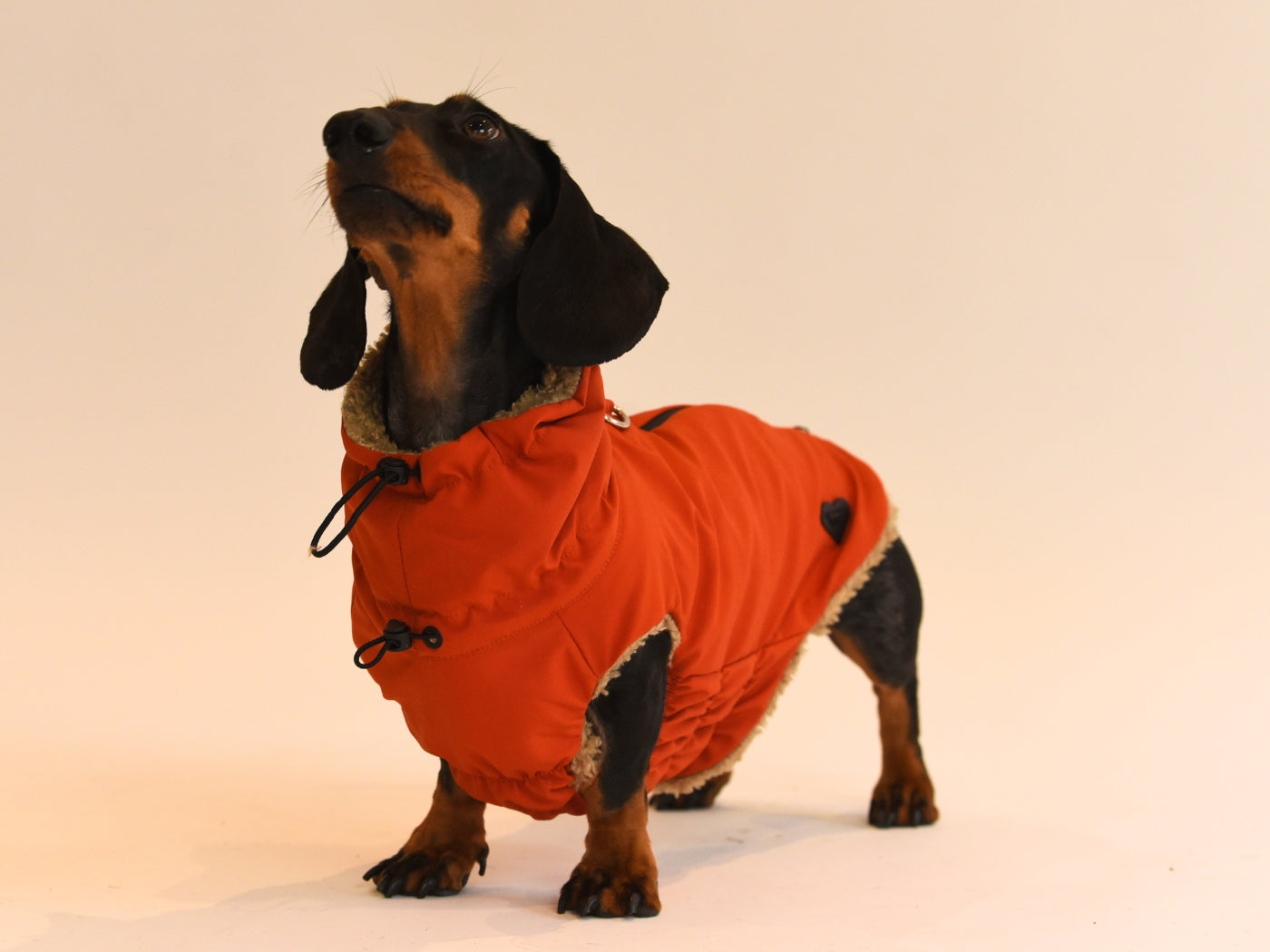 Snood up on the Red Teddy Bear Coat.