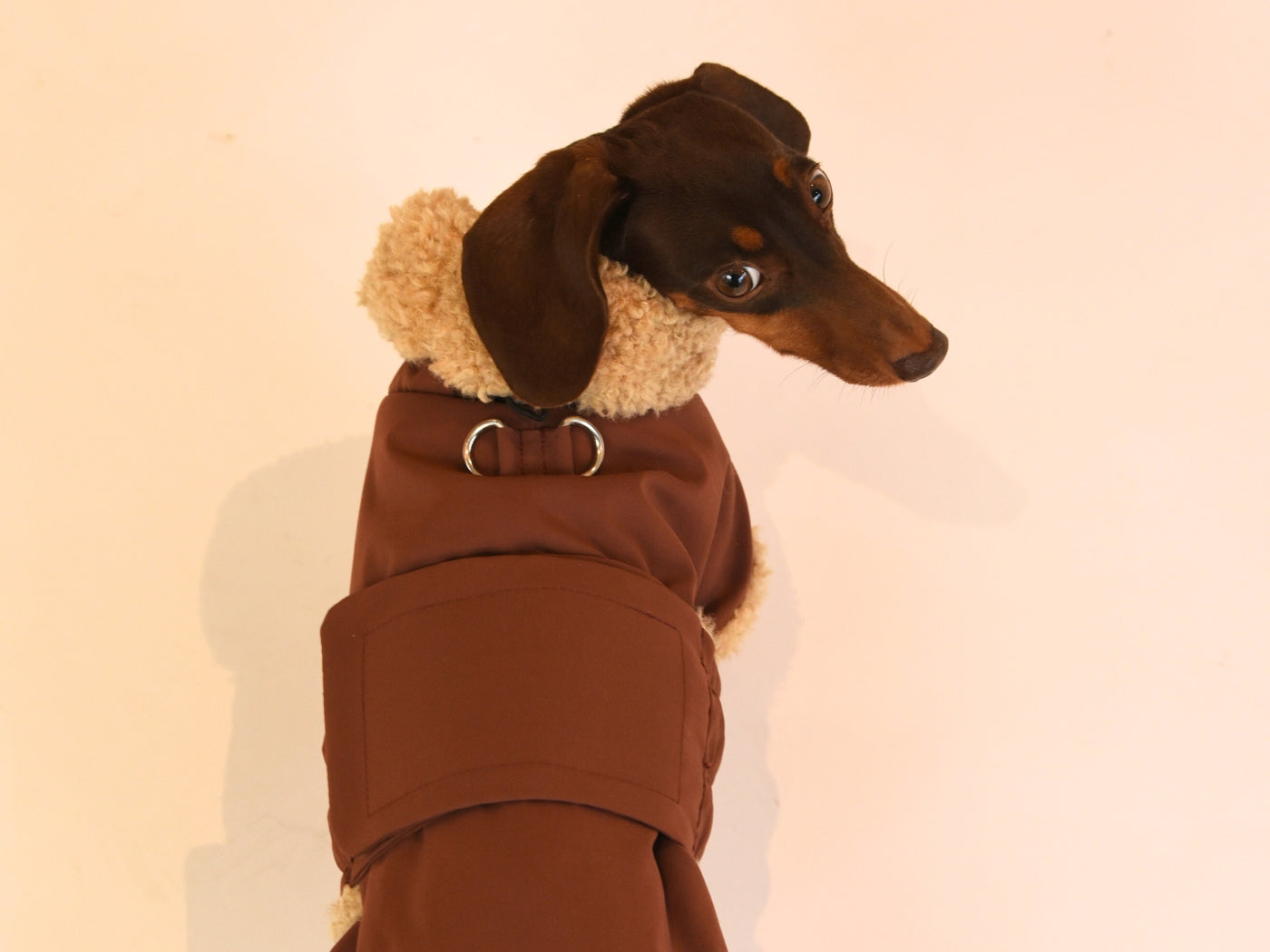 Top View of the Brown Wraparound Coat.