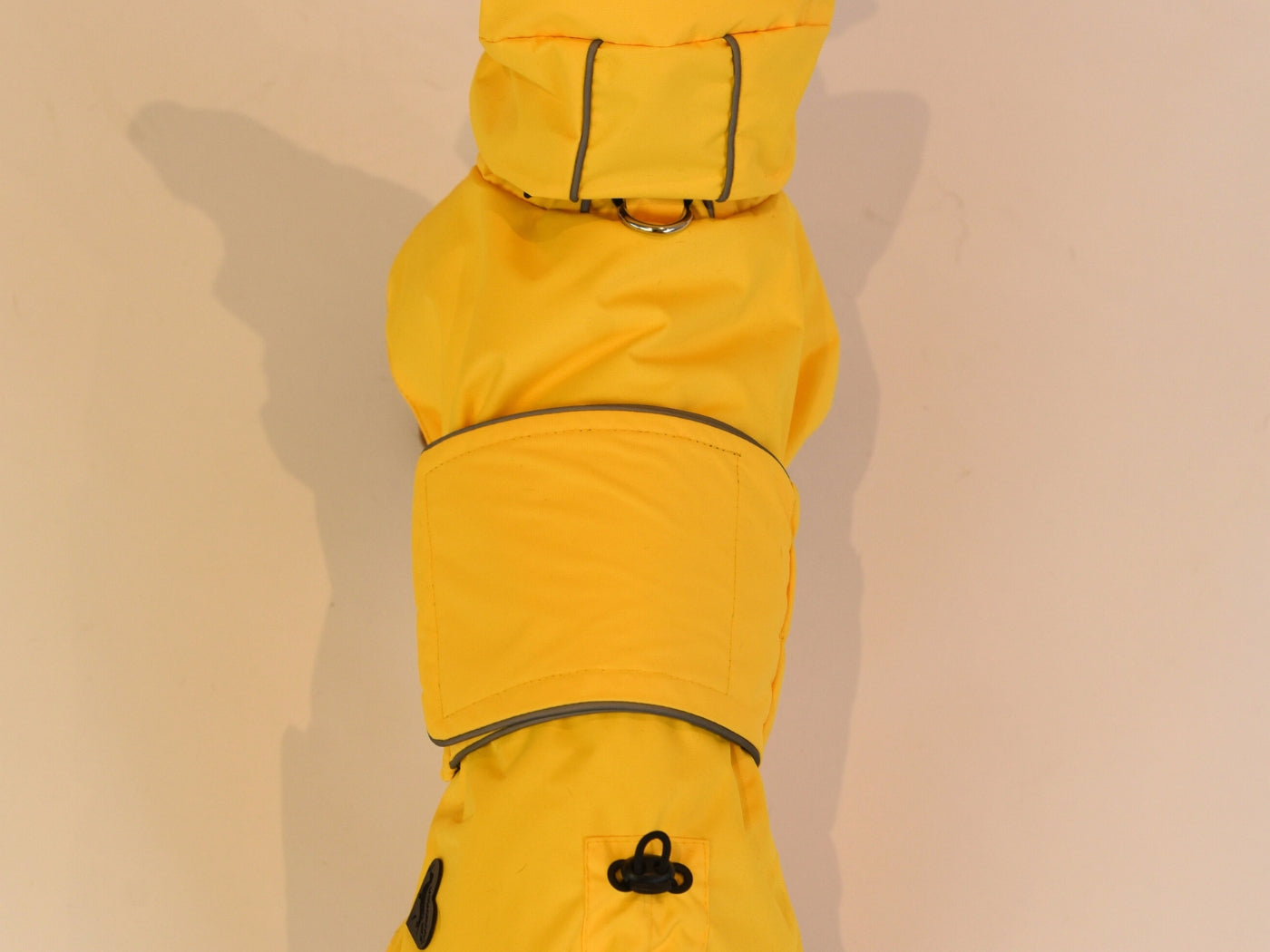 Top view of the Yellow Dachshund Raincoat.