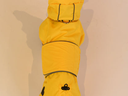 Top view of the Yellow Dachshund Raincoat.