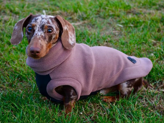 Pre-Order Now: Cocoa Fleece Waterproof Belly Turtle Neck Jumper
