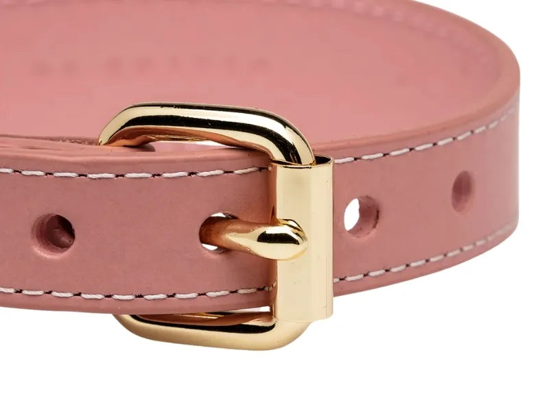 Wide fit pink dachshund collar with gold hardware.