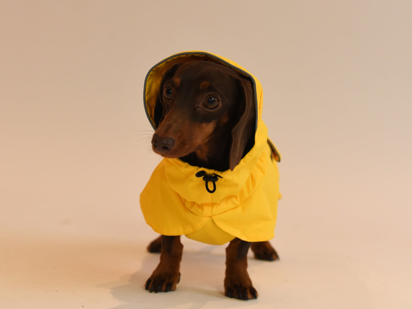 Yellow Waterproof Raincoat front view with hood up.